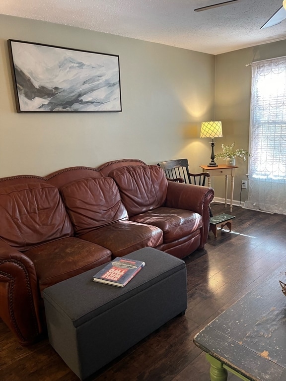 living room with dark wood-type flooring and a textured ceiling