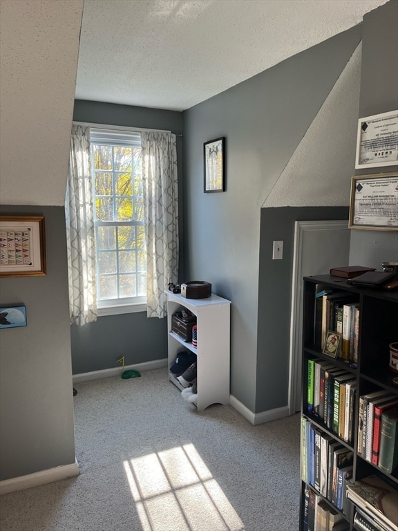 interior space with a textured ceiling and light colored carpet