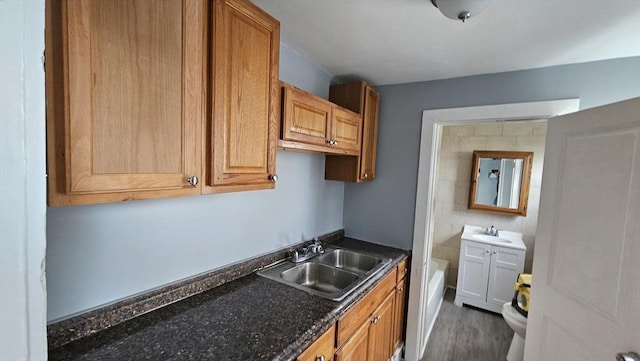 kitchen with dark hardwood / wood-style flooring, dark stone countertops, and sink