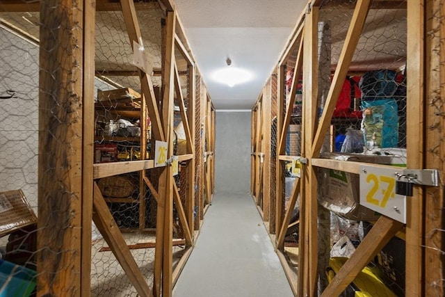 301 Neponset St Unit 12A, Norwood, MA 02062 - view of storage