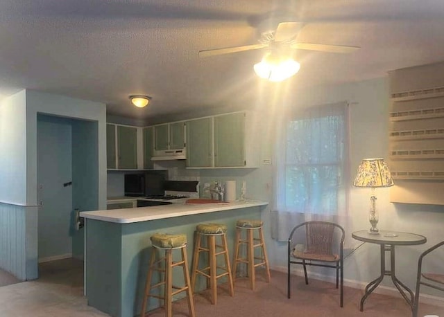 59 Katherine St, Weymouth, MA 02191 - kitchen with under cabinet range hood, a peninsula, ceiling fan, light countertops, and a kitchen breakfast bar