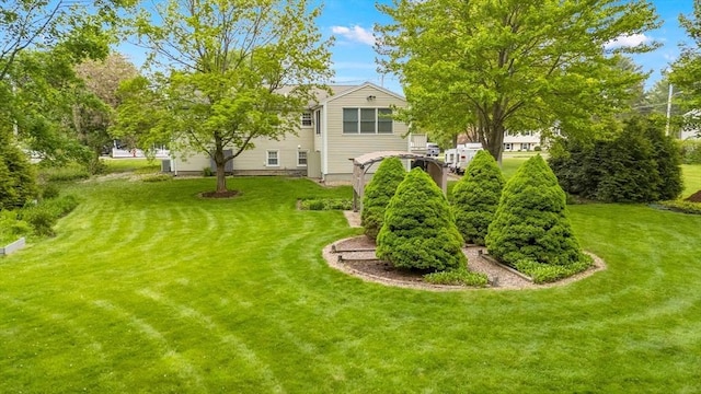 view of green lawn