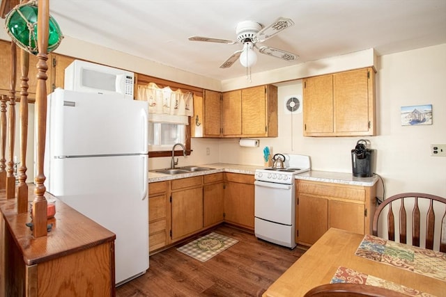 kitchen with ceiling fan, white appliances, dark hardwood / wood-style flooring, and sink