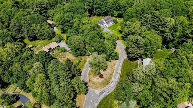 10 Corcoran Dr, Tyngsborough, MA 01879 - view of property location with a heavily wooded area