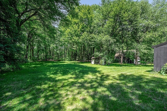 10 Corcoran Dr, Tyngsborough, MA 01879 - view of grassy yard featuring a view of trees