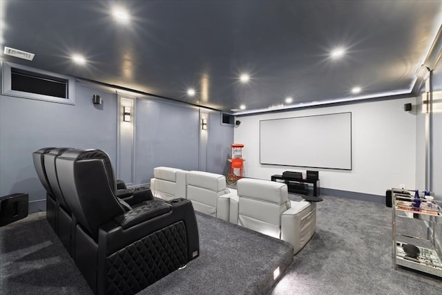 view of carpeted home theater