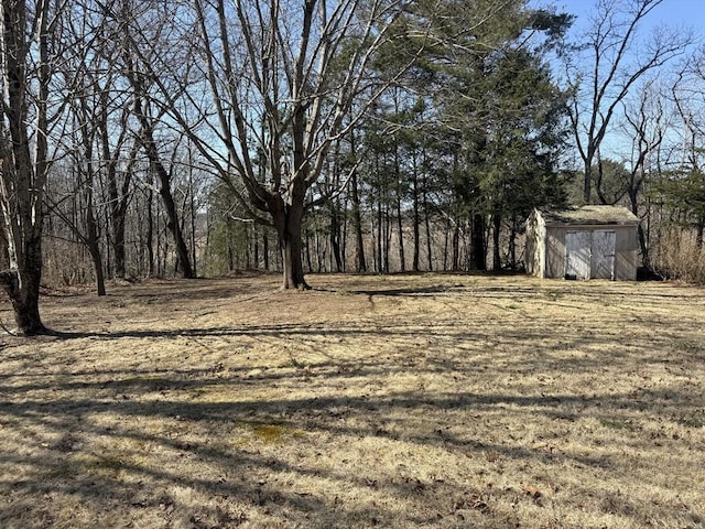 view of yard featuring a storage shed and an outdoor structure