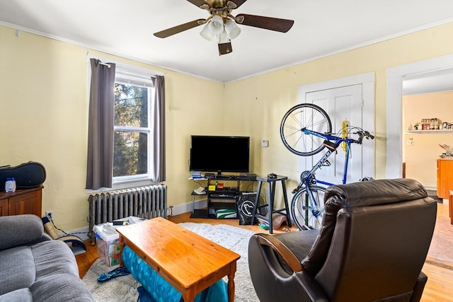 living room featuring light hardwood / wood-style floors, radiator, and crown molding