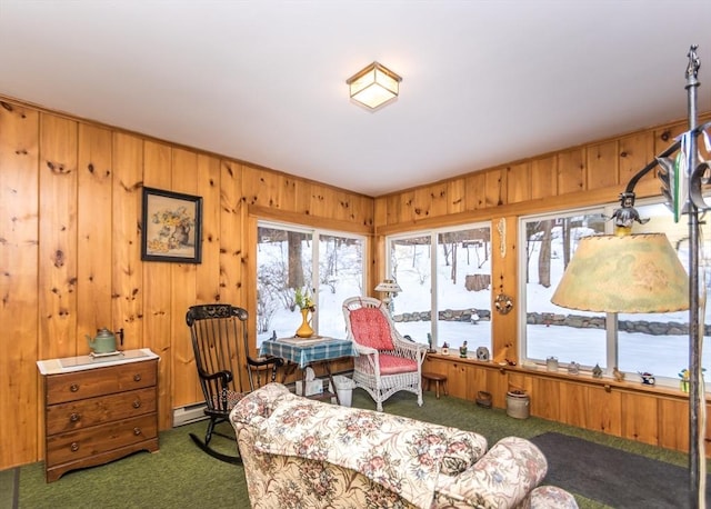 living area with a baseboard radiator, wooden walls, and carpet