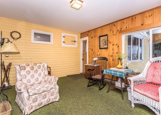 living area with carpet floors and wooden walls