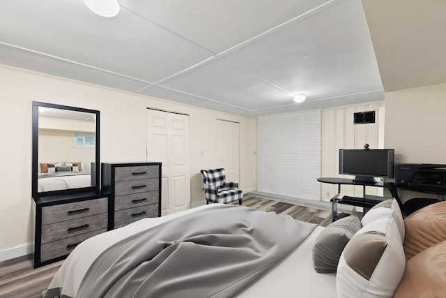 bedroom with wood-type flooring and two closets