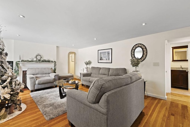 living room with light hardwood / wood-style flooring