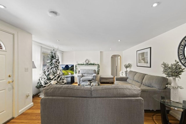 living room featuring light wood-type flooring