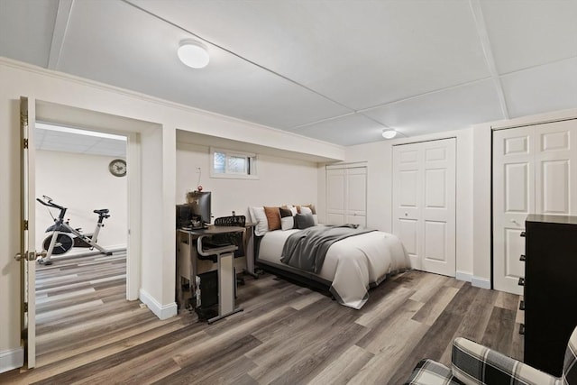 bedroom featuring wood-type flooring and multiple closets