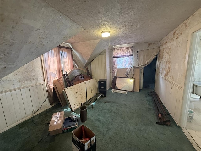 64 Suffolk St, Worcester, MA 01604 - bonus room with lofted ceiling, a textured ceiling, wainscoting, and carpet floors