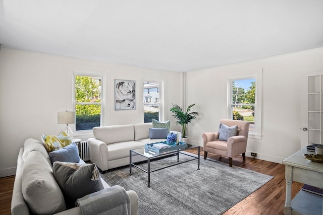 living room featuring dark hardwood / wood-style floors