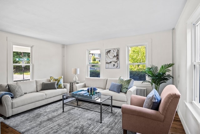 living room featuring dark wood-type flooring