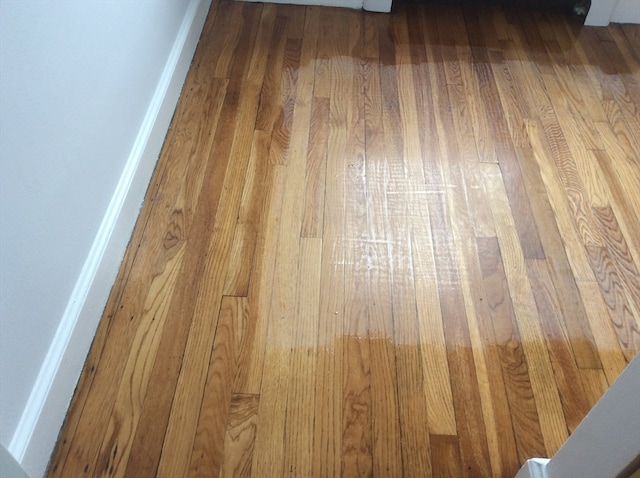 interior details with hardwood / wood-style flooring