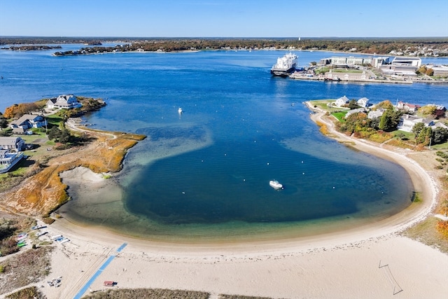 drone / aerial view with a water view and a view of the beach