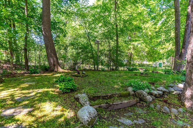 265 Stone St, Walpole, MA 02081 - view of yard with a view of trees