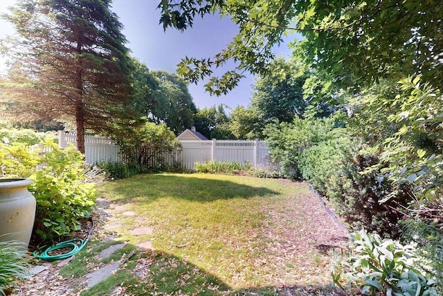 12 Bigelow Cir Unit 3, Boston, MA 02135 - view of yard