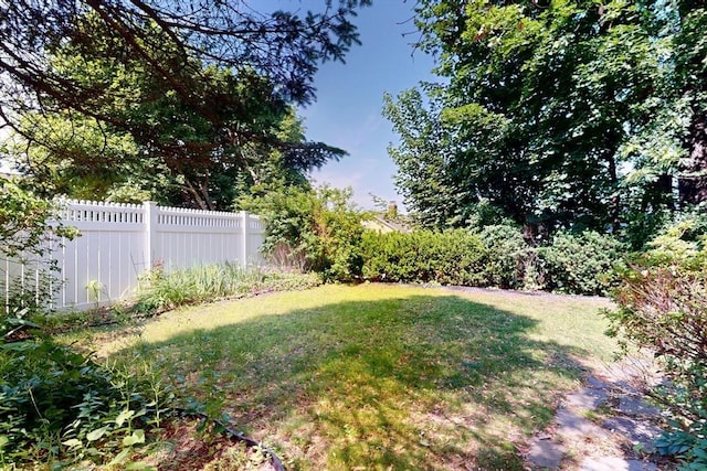 12 Bigelow Cir Unit 3, Boston, MA 02135 - view of yard