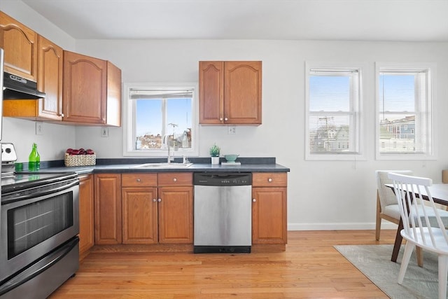 kitchen featuring appliances with stainless steel finishes, light hardwood / wood-style floors, and sink