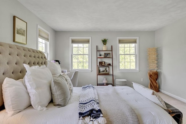 7 Sequoia Dr, Wilmington, MA 01887 - bedroom with multiple windows, baseboards, and carpet