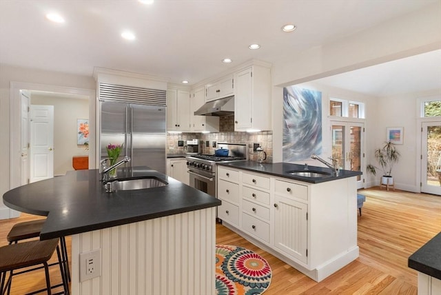 kitchen featuring under cabinet range hood, premium appliances, dark countertops, and a sink