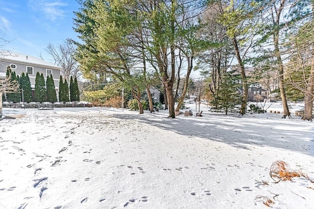 view of yard covered in snow