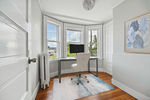 993 Shirley St, Winthrop, MA 02152 - home office featuring wood finished floors, baseboards, and radiator heating unit