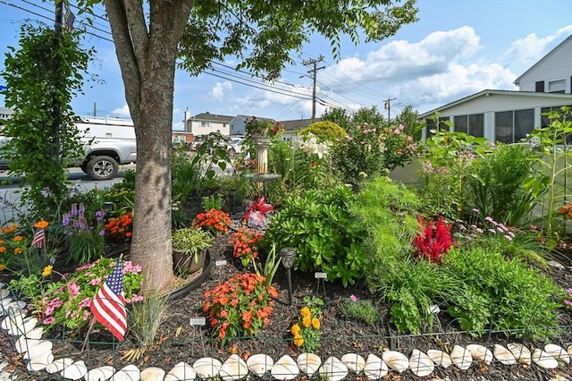 993 Shirley St, Winthrop, MA 02152 - view of yard