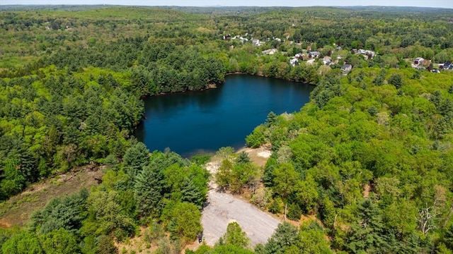 aerial view of a forest and a nearby body of water