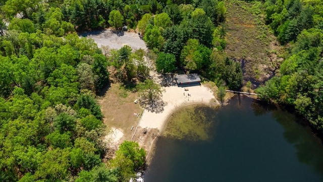 bird's eye view of a large body of water and a forest
