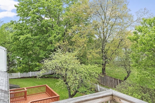 view of yard featuring a deck