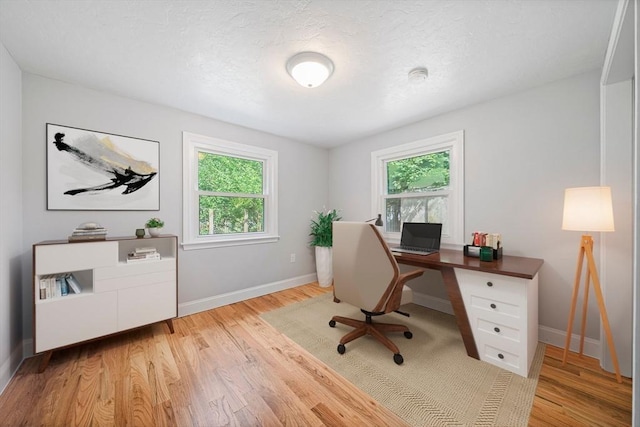 13 Hickory Rd, Halifax, MA 02338 - office space featuring plenty of natural light, light wood-type flooring, and a textured ceiling