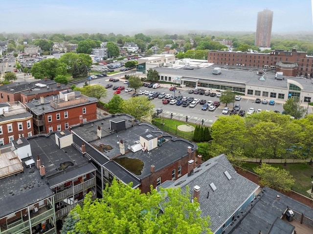 drone / aerial view