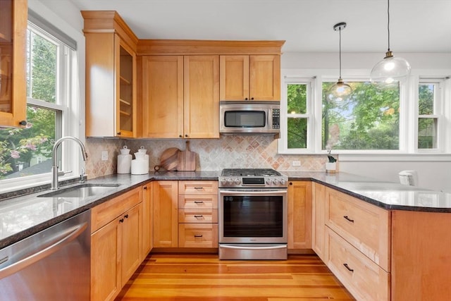 kitchen with appliances with stainless steel finishes, a sink, light wood-style flooring, and healthy amount of natural light