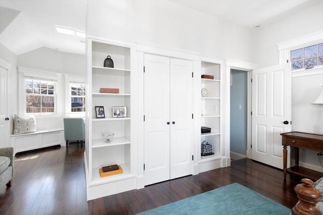 11 Paige St, Hingham, MA 02043 - bedroom featuring dark wood-style floors, a closet, and vaulted ceiling