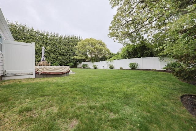 5 Birch Hill Rd, Dennis, MA 02639 - view of yard