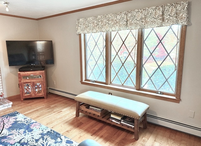 living room featuring baseboard heating, plenty of natural light, and hardwood / wood-style flooring