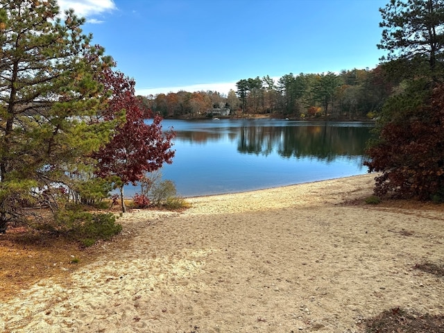 view of water feature