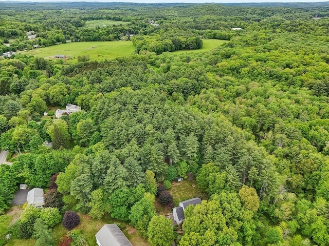 176 Crescent St, Stow, MA 01775 - view of property location with a heavily wooded area