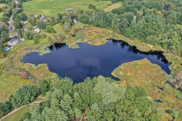 176 Crescent St, Stow, MA 01775 - aerial view of property's location featuring a large body of water and a heavily wooded area