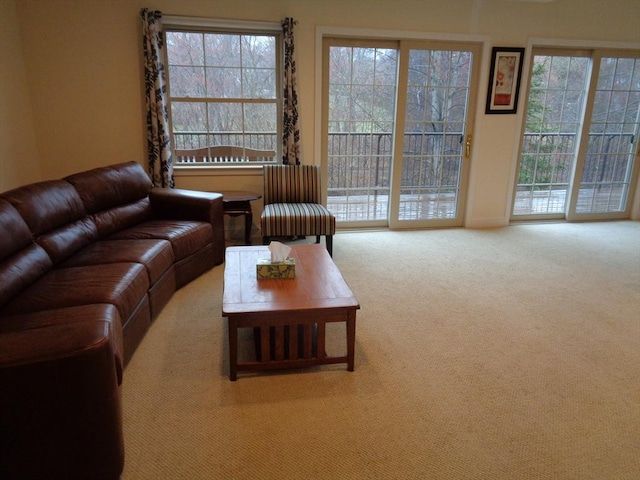 12 Brookside Rd Unit 20, Westford, MA 01886 - carpeted living room with healthy amount of natural light