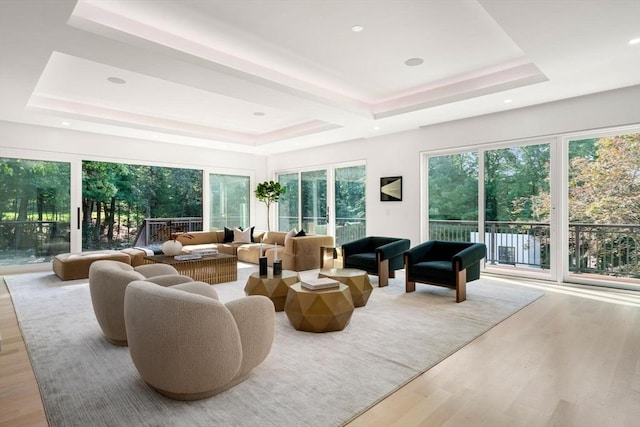 sunroom with a raised ceiling