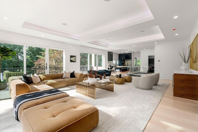 living room featuring a raised ceiling and light wood-type flooring