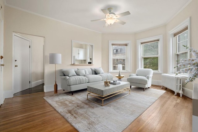 369 Tappan St Unit 8, Brookline, MA 02445 - living area featuring radiator, wood finished floors, ornamental molding, and a ceiling fan