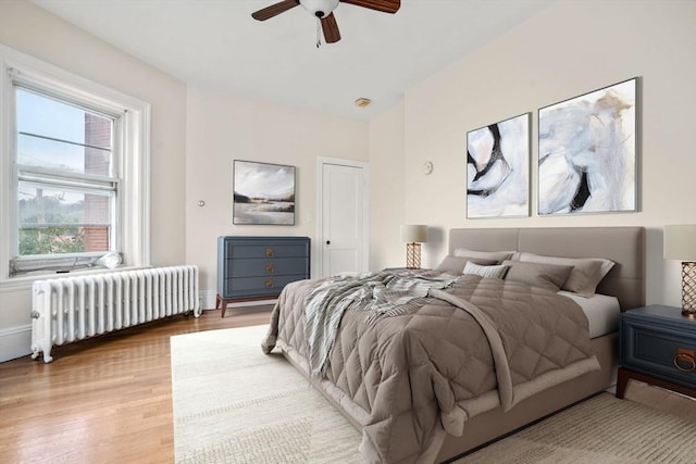 369 Tappan St Unit 8, Brookline, MA 02445 - bedroom featuring radiator, wood finished floors, and ceiling fan
