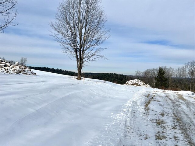 view of yard covered in snow